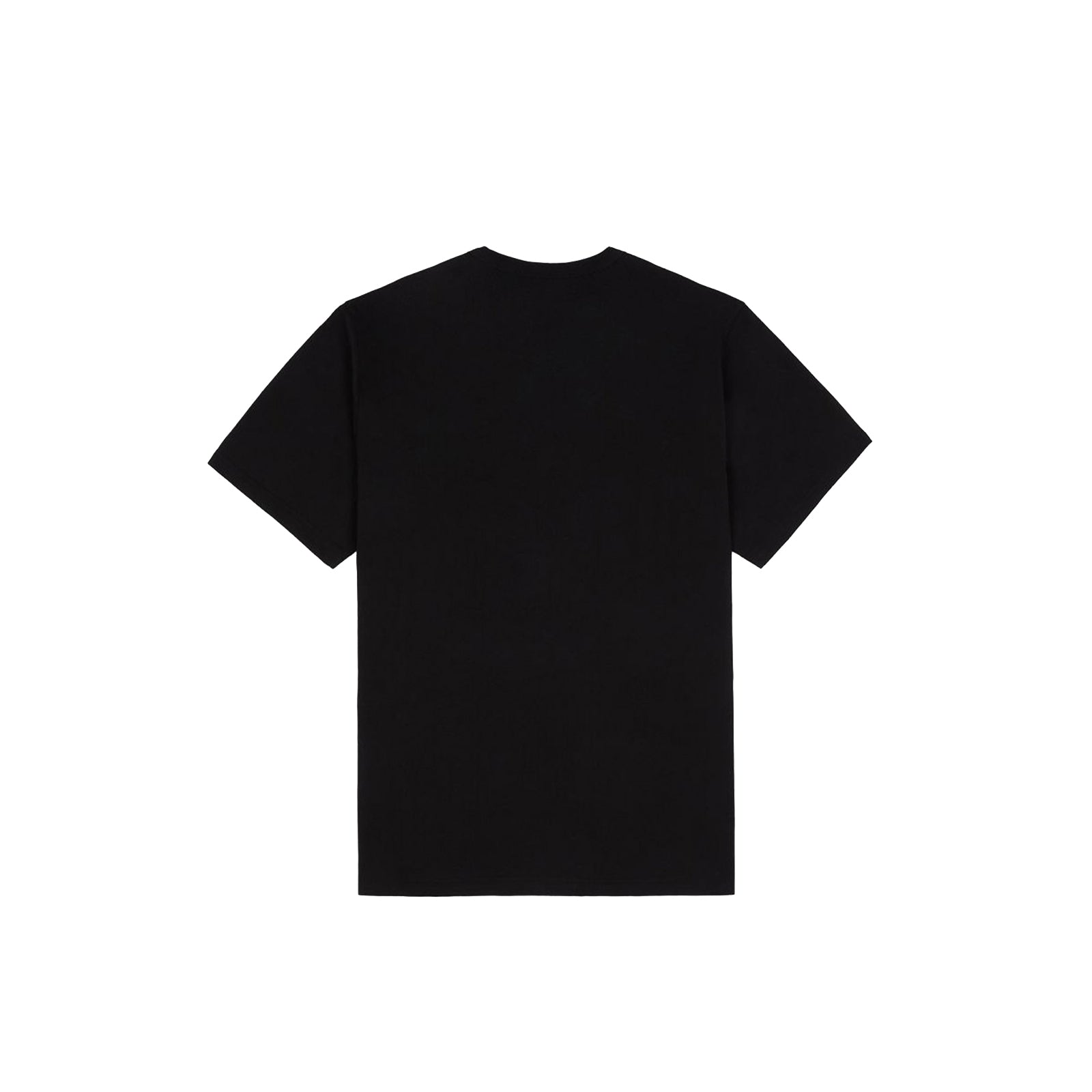Dickies Aitkin Tee