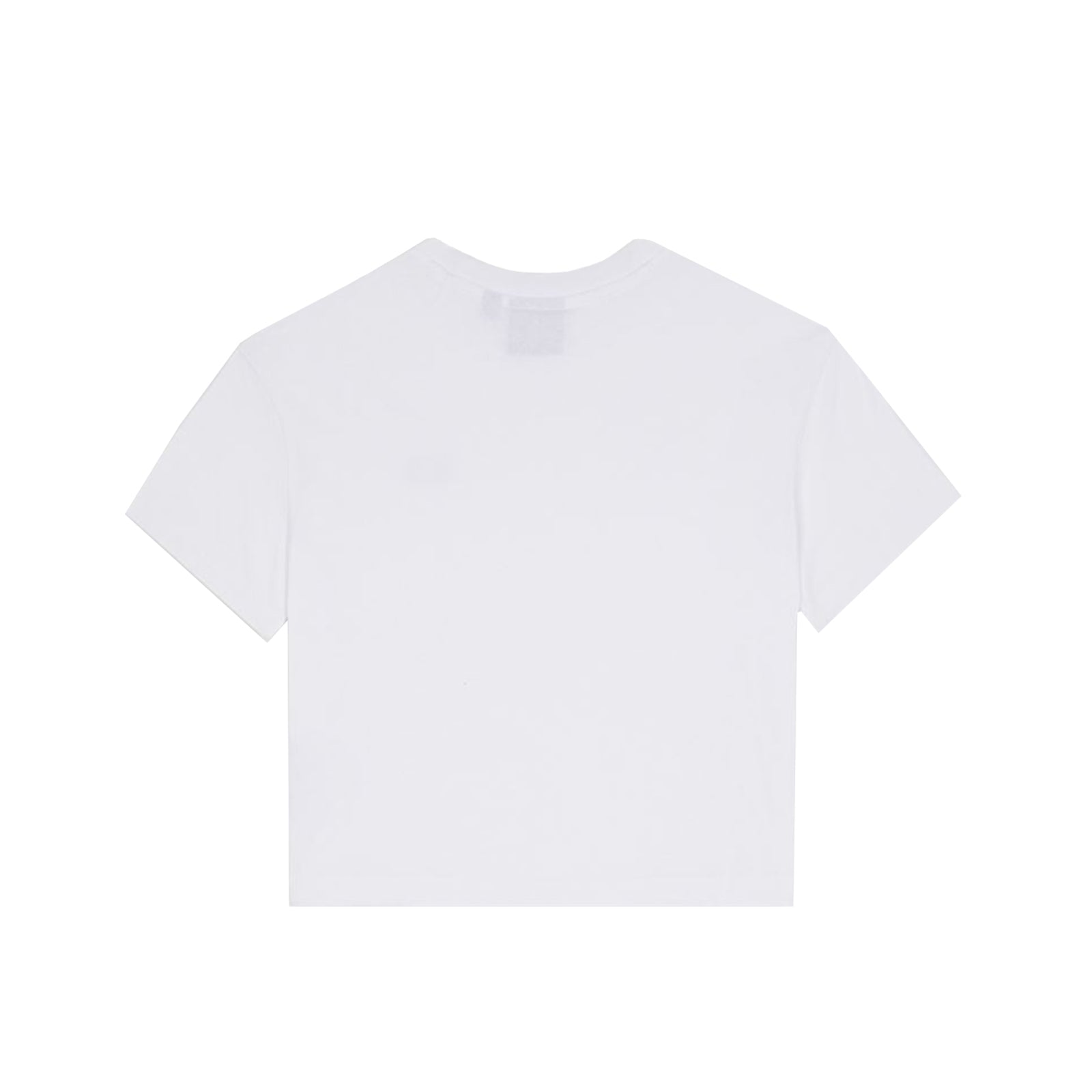 Dickies Oakport Tee