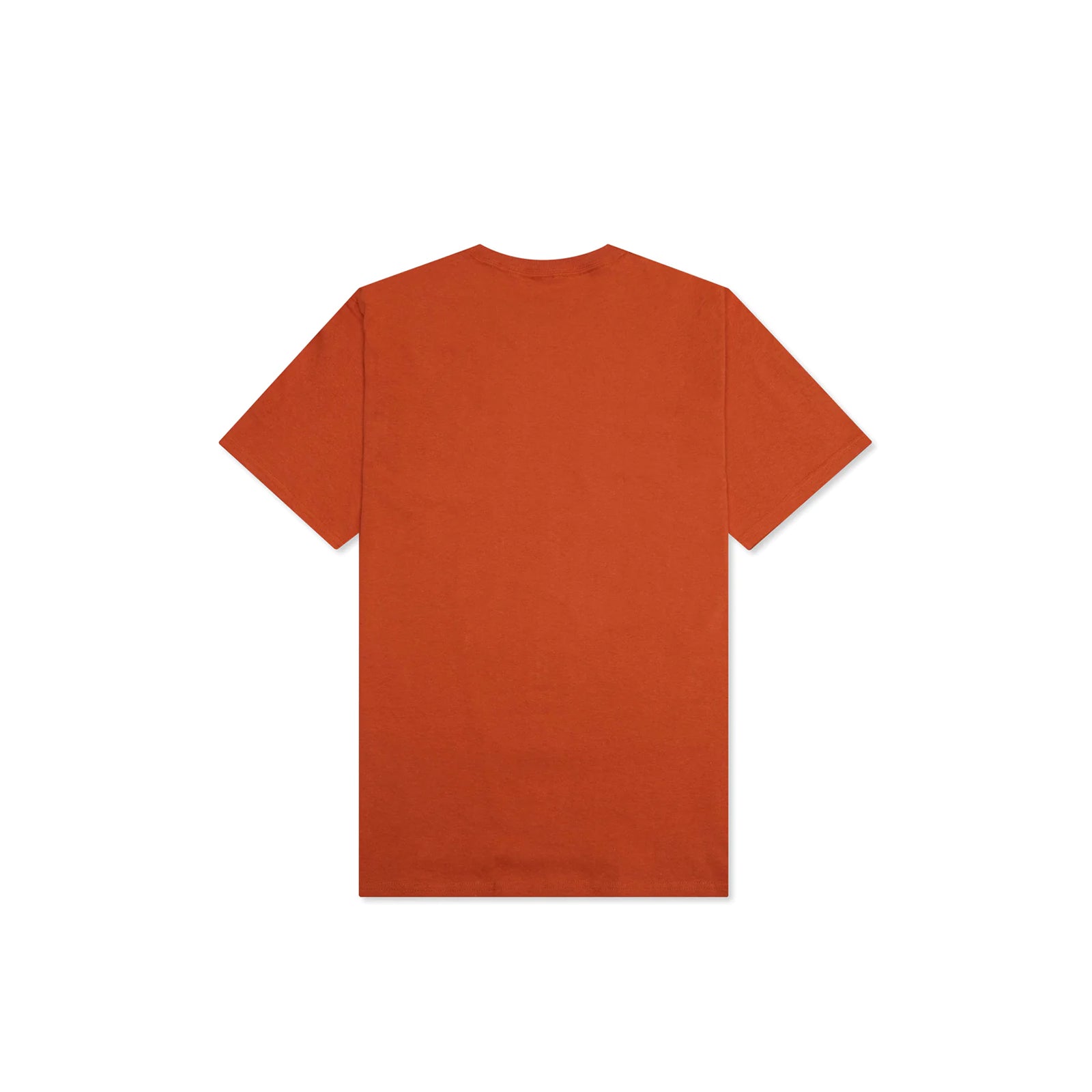 Pleasures Don't Care T-Shirt