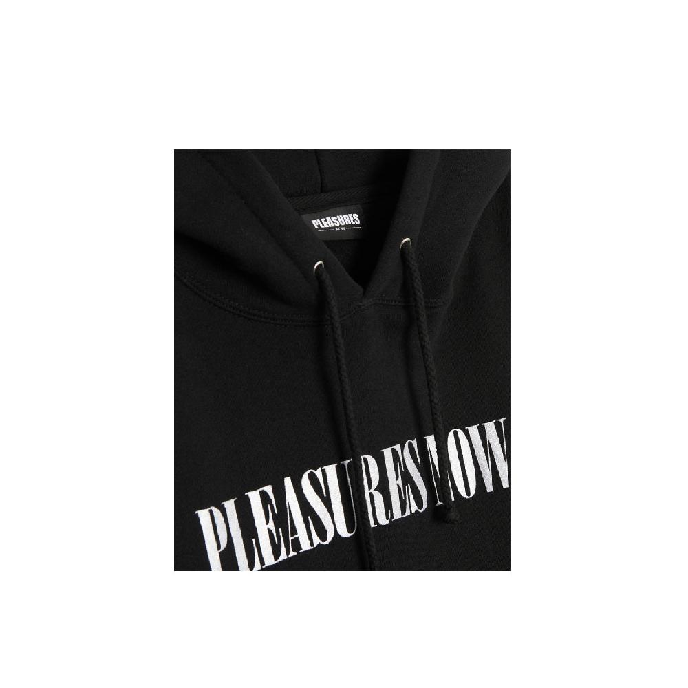 Pleaures LLC Hoodie