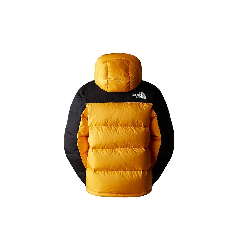 The North Face Men's Hmlyn Down Parka