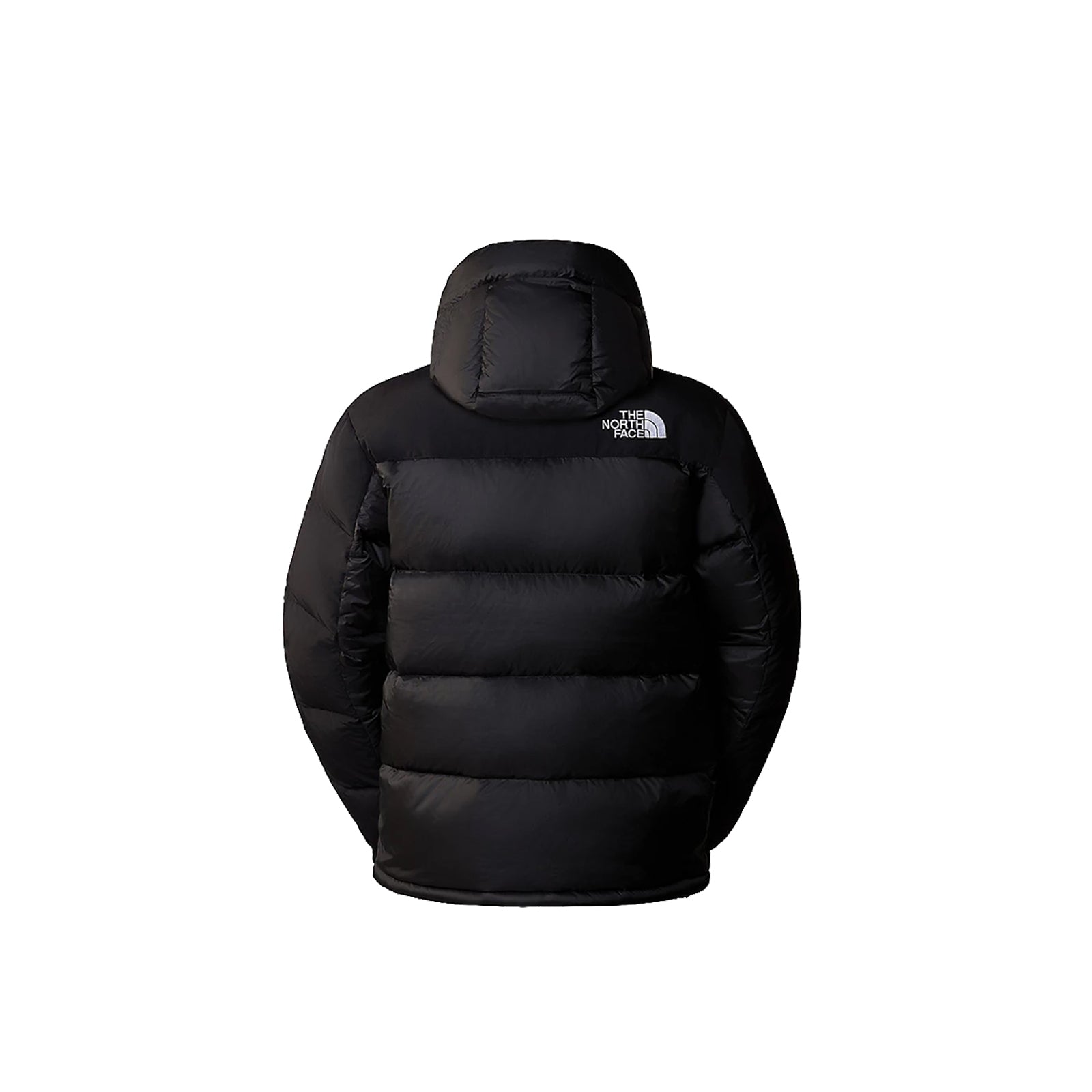 The North Face Men's Hmlyn Down Parka