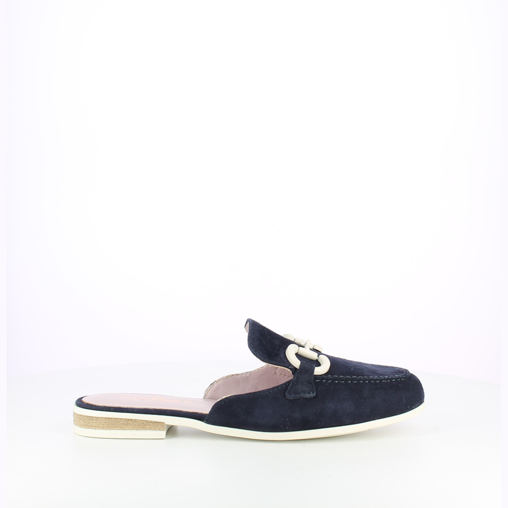 The Flexx GUIA-CAMOSCIO