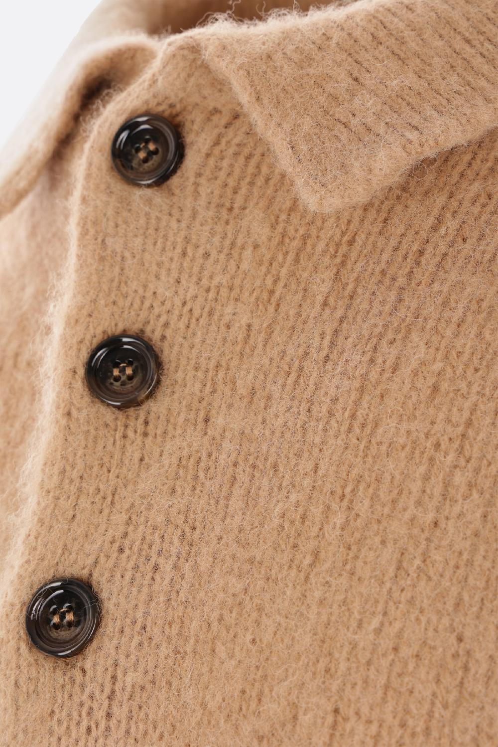 ASPESI Pullover A Polo In Lana Shetland