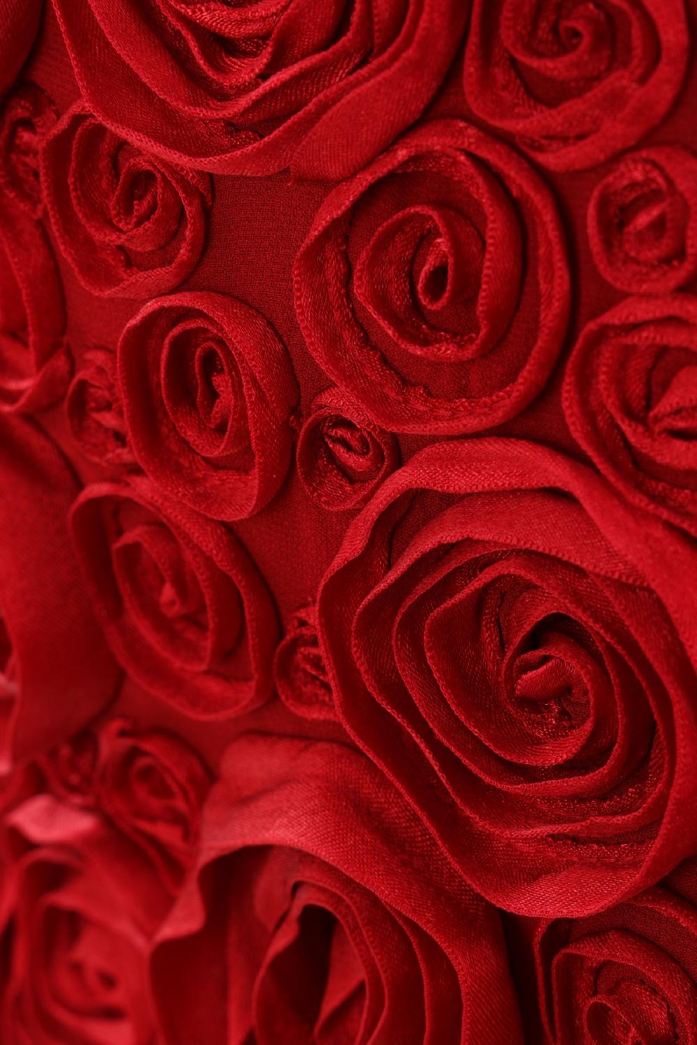 BLUMARINE Minigonna In Crepe De Chine Ricamo Rose