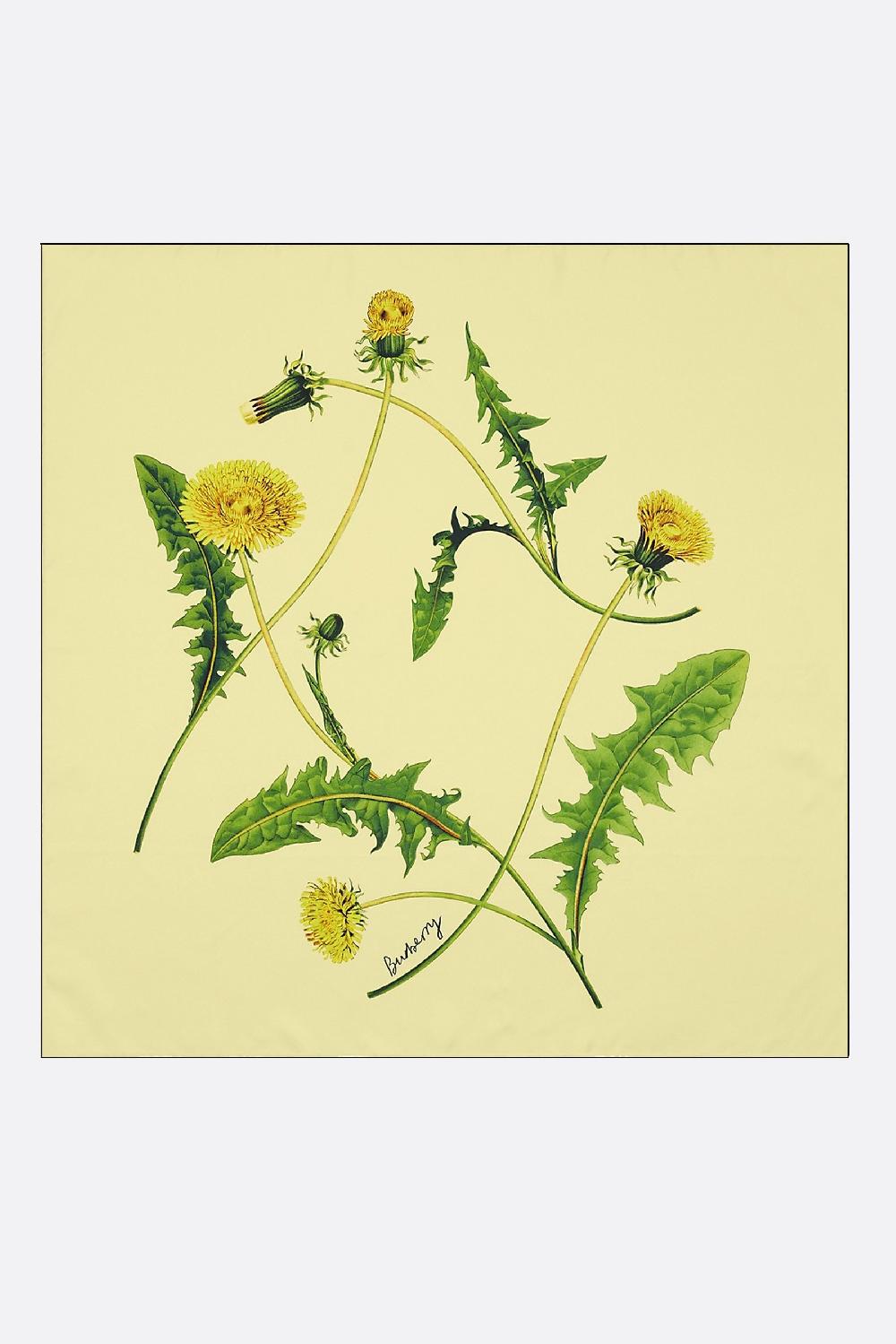 BURBERRY Foulard In Seta Stampa Denti Di Leone