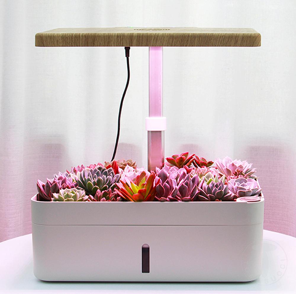 Tomasucci Serra Idroponica GREEN GARDEN