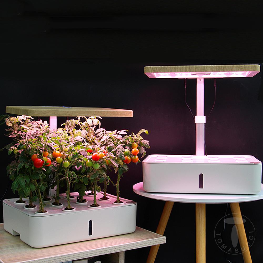 Tomasucci Serra Idroponica GREEN GARDEN