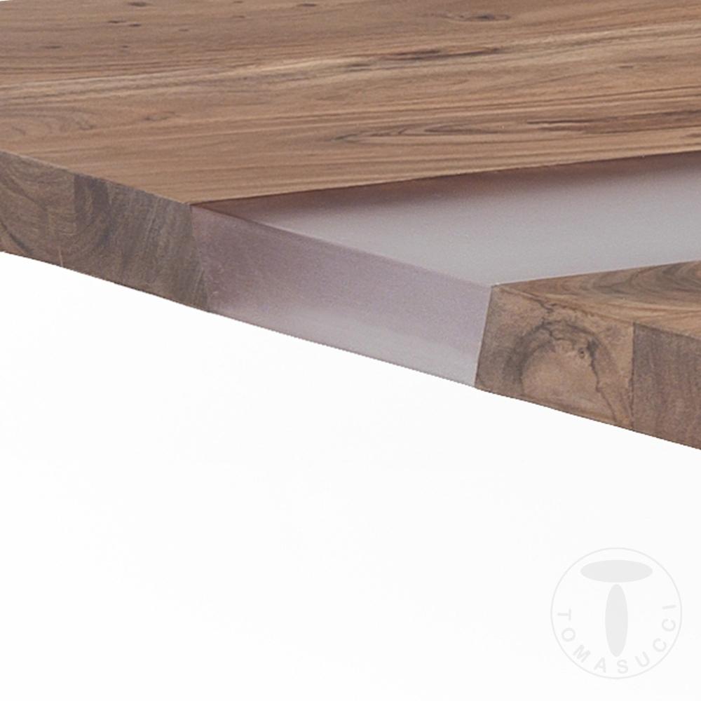 Tomasucci Tavolo ANUBI