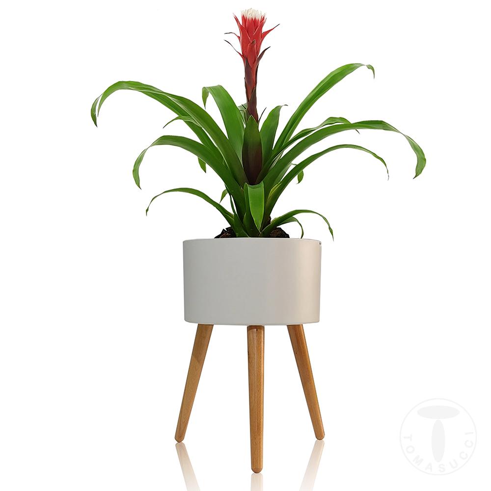 Tomasucci Vaso Autoinnaffiante Per Esterno / Interno CALLA - C