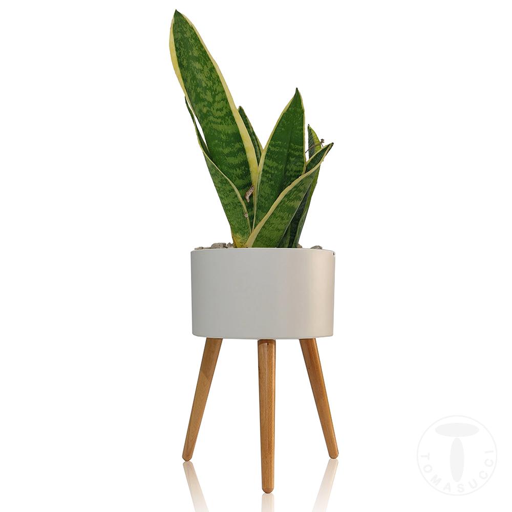 Tomasucci Vaso Autoinnaffiante Per Esterno / Interno CALLA - C