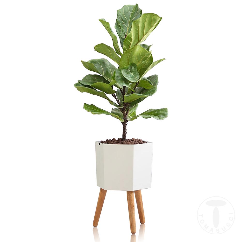 Tomasucci Vaso Autoinnaffiante Per Esterno / Interno CALLA - D