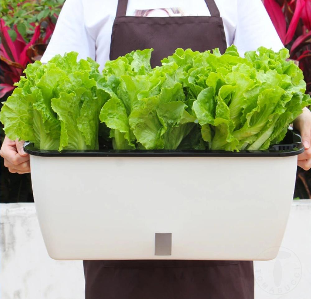 Tomasucci Vaso Autoinnaffiante Per Esterno / Interno DAHLIA BIG