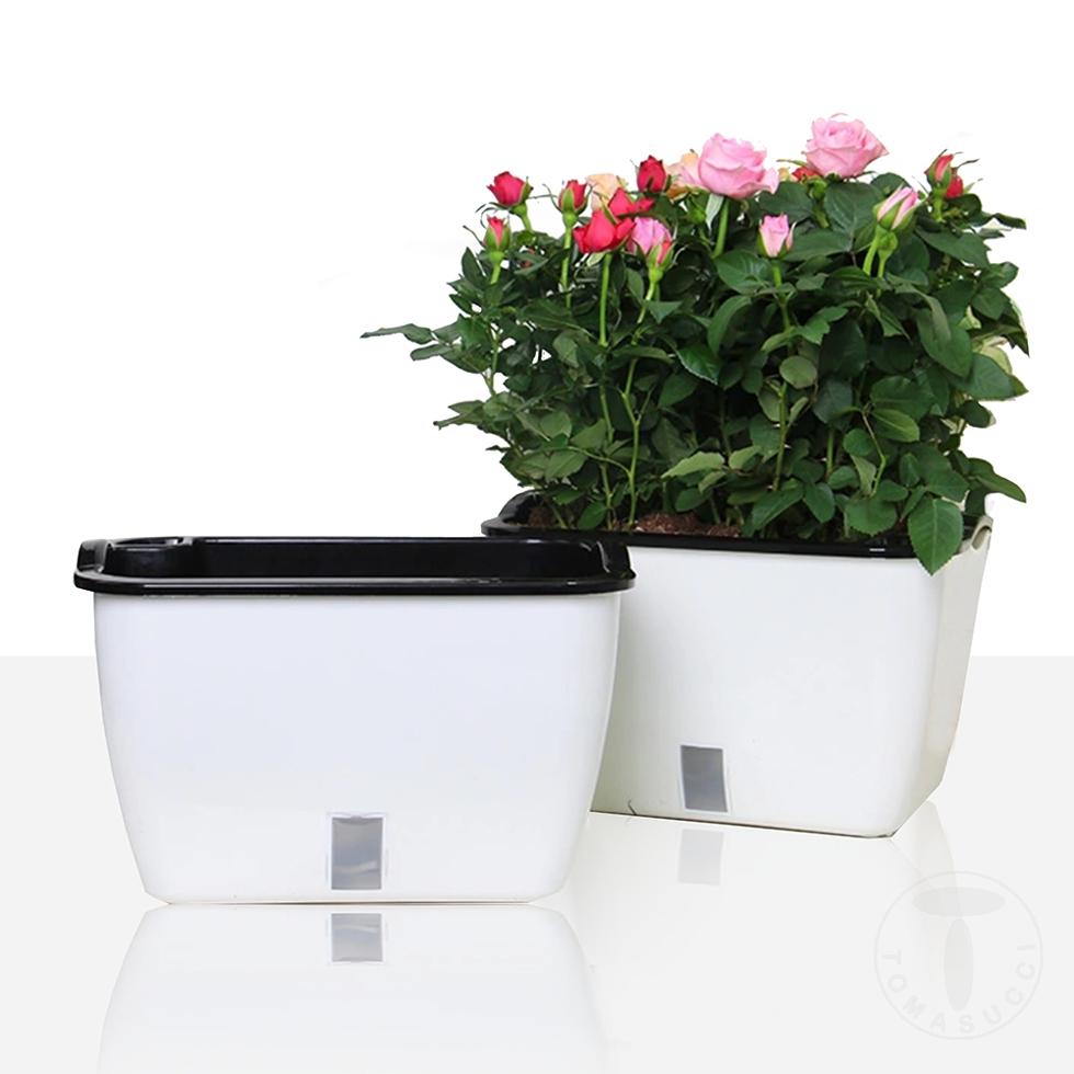 Tomasucci Vaso Autoinnaffiante Per Esterno / Interno DAHLIA SMALL