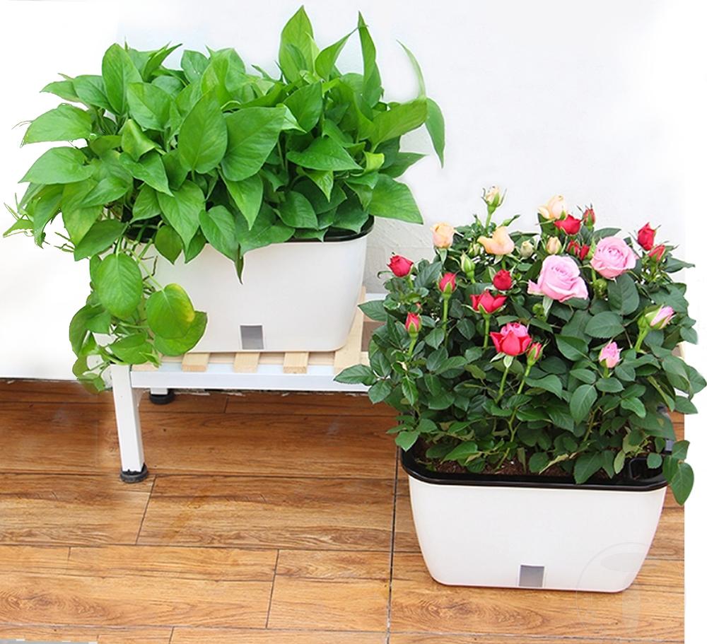 Tomasucci Vaso Autoinnaffiante Per Esterno / Interno DAHLIA SMALL