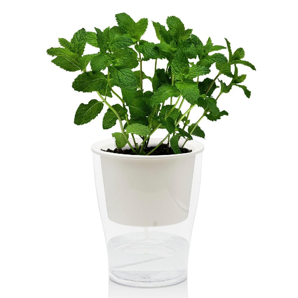 Tomasucci Vaso Autoinnaffiante Per Esterno / Interno RAFFY LARGE