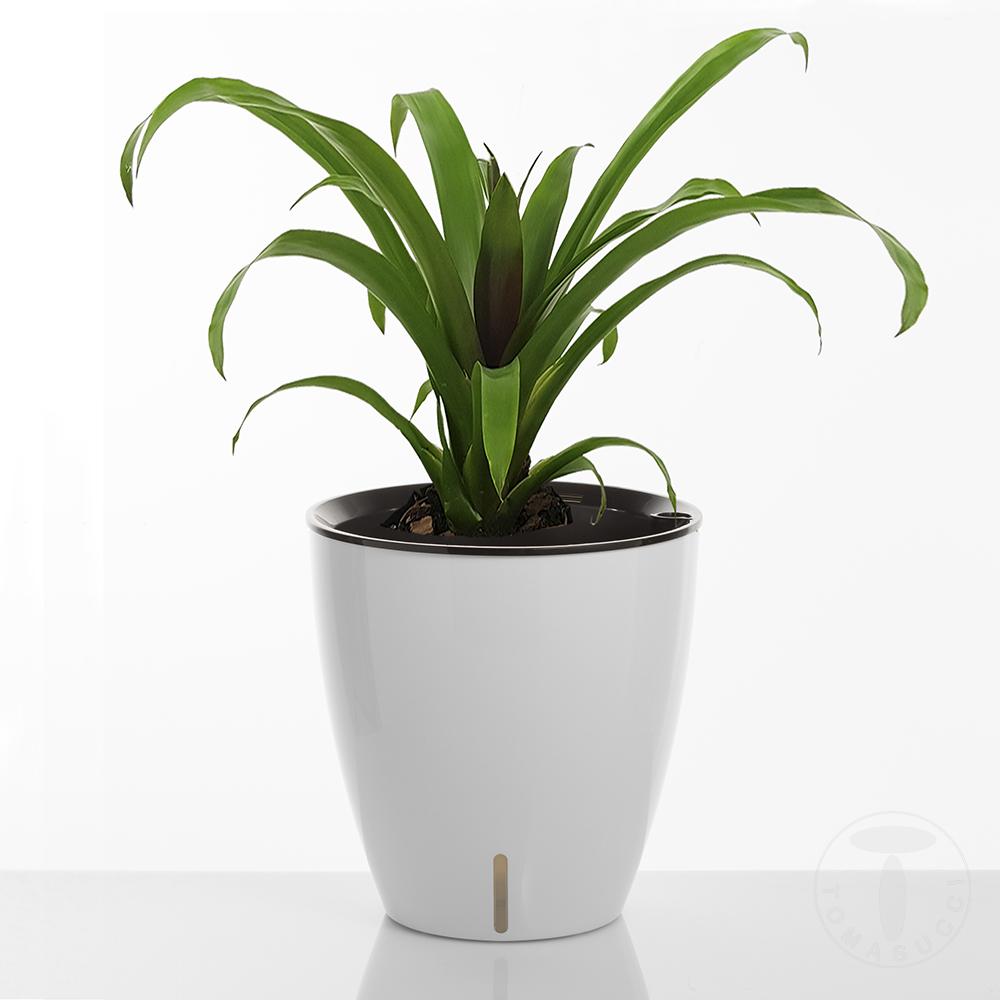 Tomasucci Vaso Autoinnaffiante Per Esterno / Interno TULIP