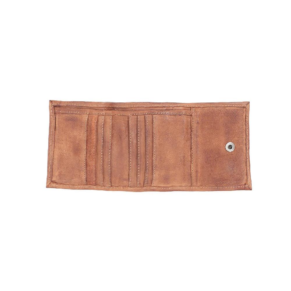 A.S.98 PORTAFOGLI CISCO