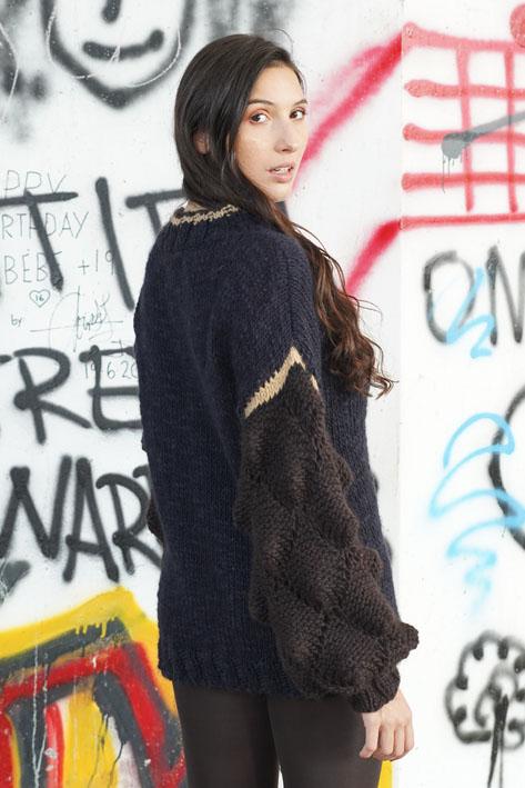 Tricot à Porter Sweater Sleeves Dino