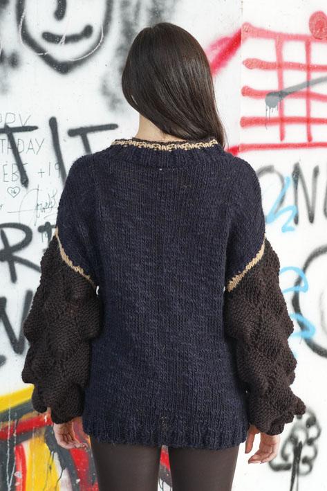 Tricot à Porter Sweater Sleeves Dino
