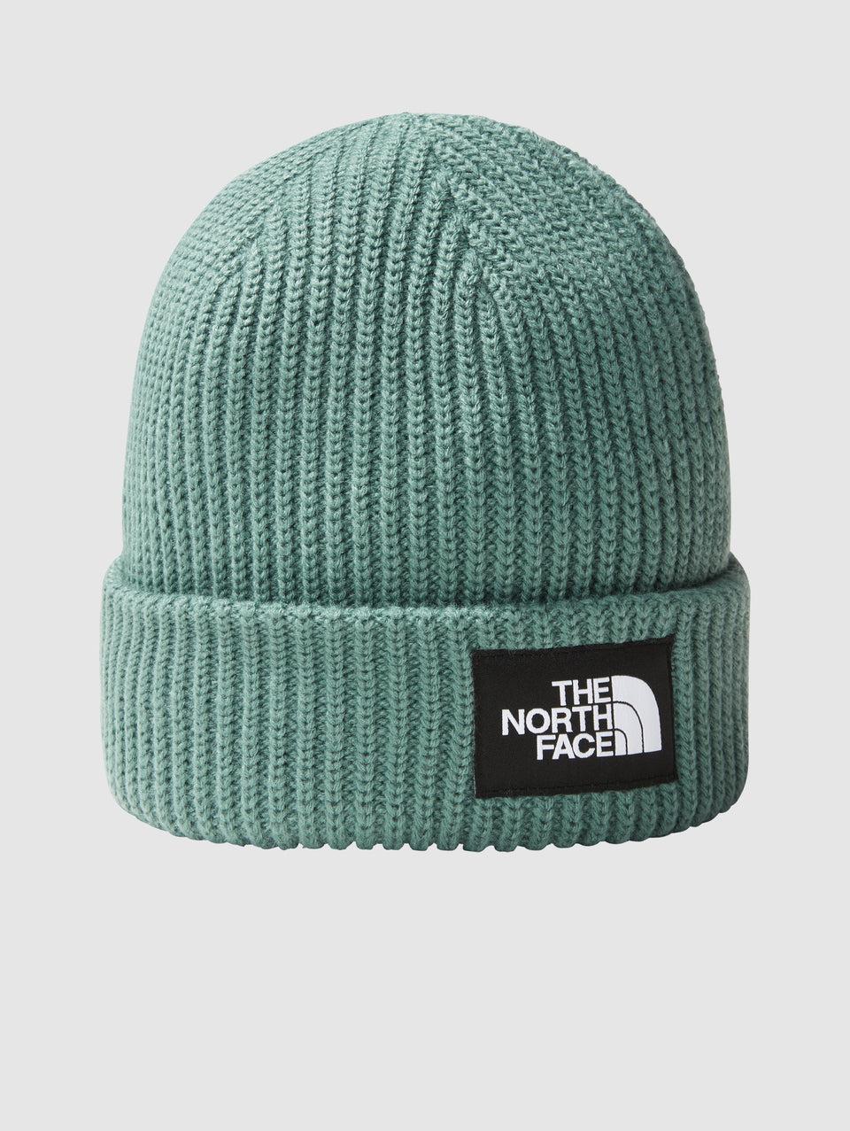 THE NORTH FACE Berretto in Maglia a Coste con Logo Salvia