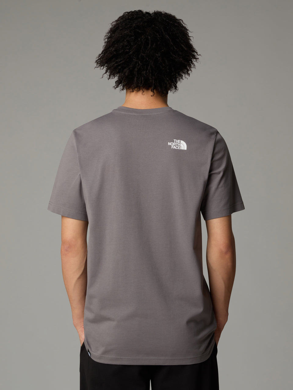 THE NORTH FACE T-shirt Regular Fit Con Logo Grigio