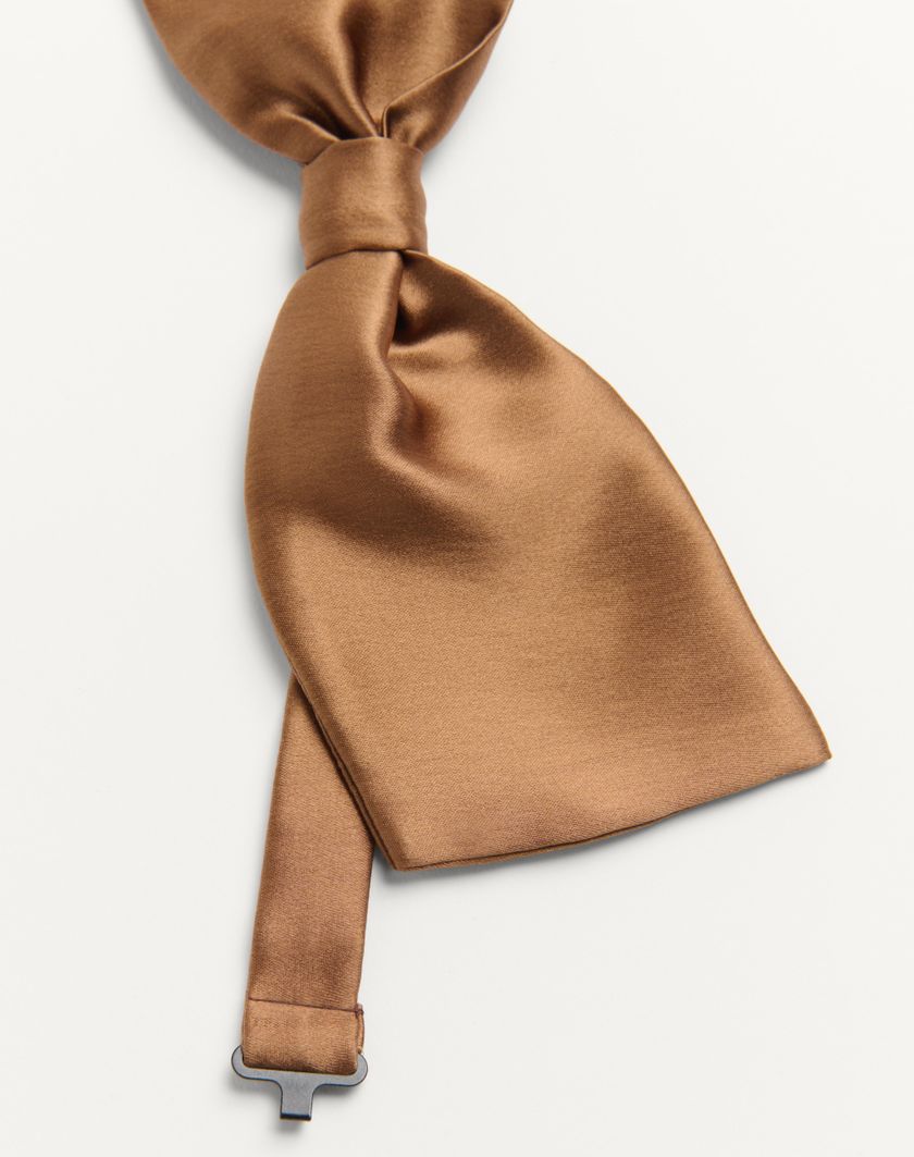 Valentino Handbags Papillon Valentie In Seta Per Uomo In Marrone | Valentino IT