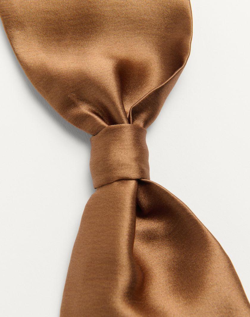 Valentino Handbags Papillon Valentie In Seta Per Uomo In Marrone | Valentino IT