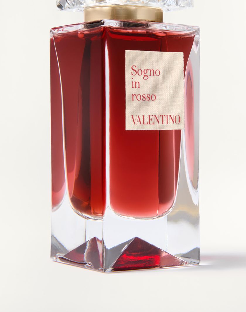 Valentino Handbags Anatomy Of Dreams