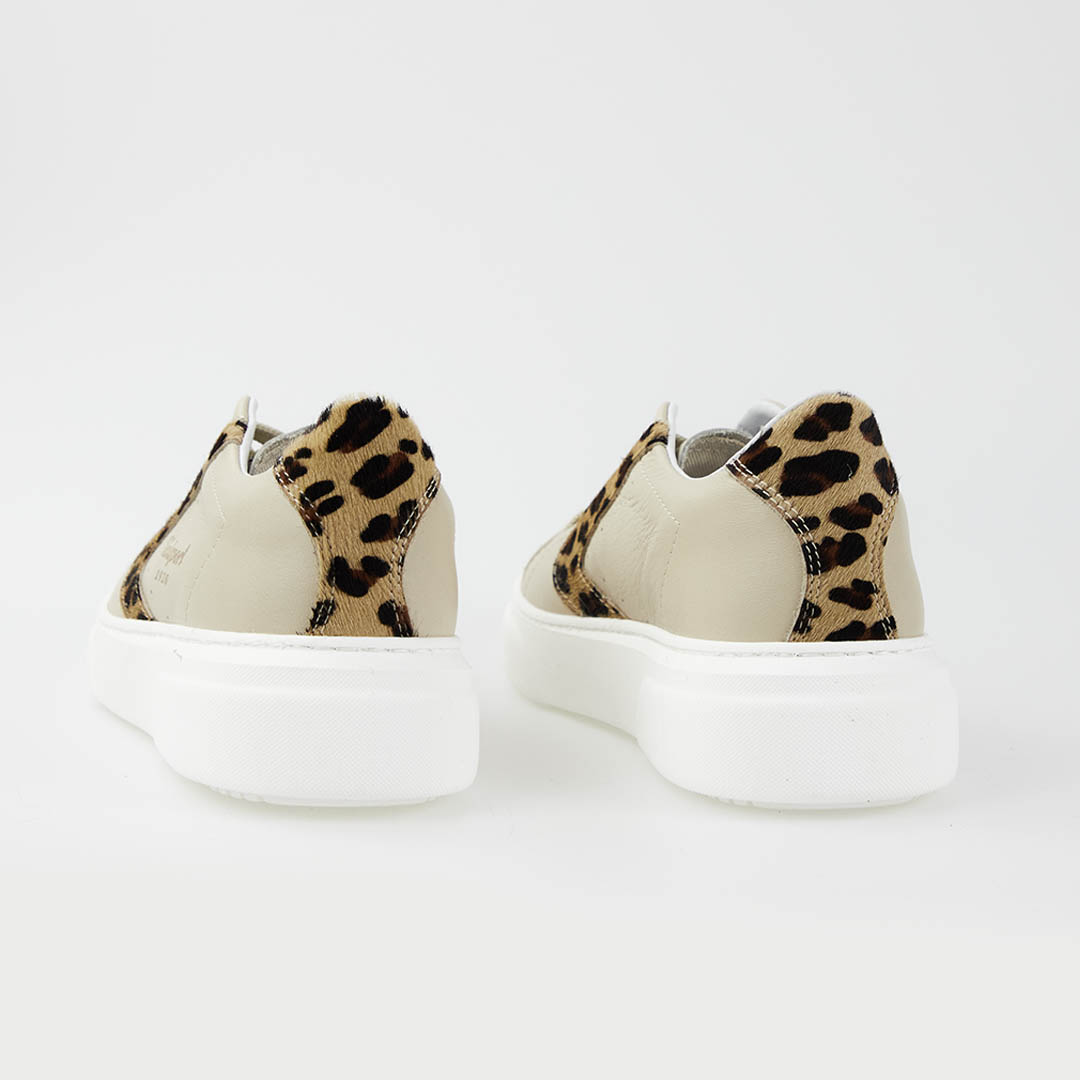 Valsport Tournament UP Crema Maculata