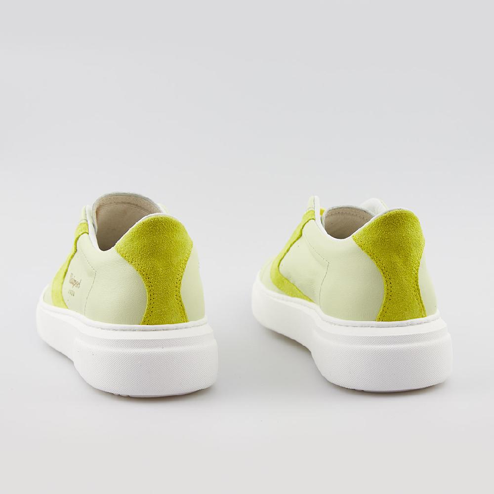 Valsport Tournament UP Lime