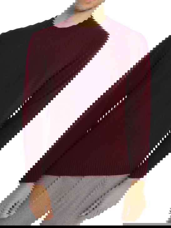 Alan Paine Maglia Alan Paine Kinnadie Bordeaux