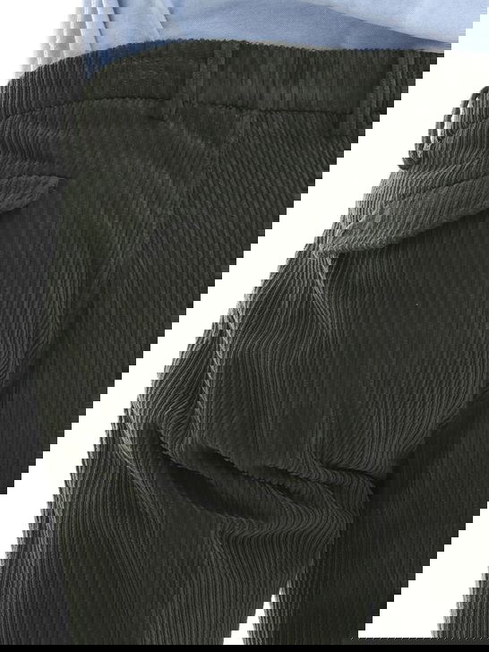 Briglia 1949 Pantaloni Briglia 1949 Velluto Verde