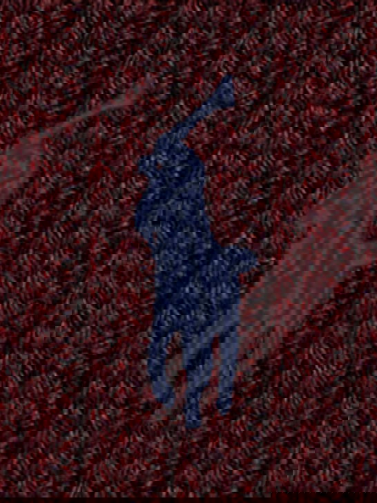 Polo Ralph Lauren Cappello Polo Ralph Lauren Merinos Bordeaux