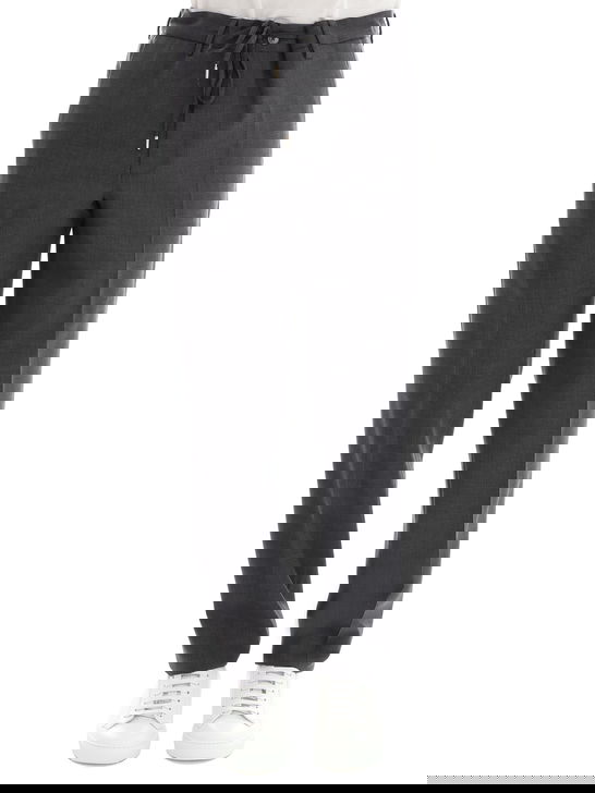 Briglia 1949 Pantaloni Briglia 1949 Lana Jersey Grigio