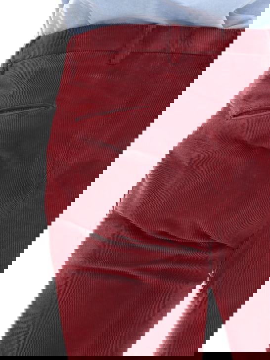 Briglia 1949 Pantaloni Briglia 1949 Velluto Bordeaux