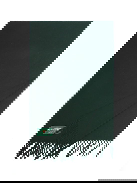 Alan Paine Sciarpa Alan Paine Risbury Cashmere Verde