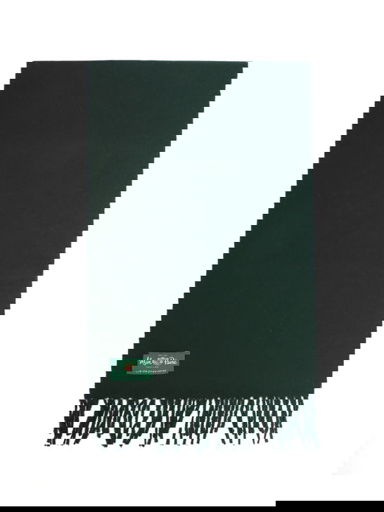 Alan Paine Sciarpa Alan Paine Risbury Cashmere Verde