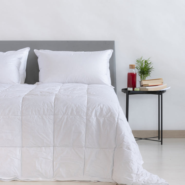 Zenoni & ColombiPiumino Autunnale Polar 3* In 100% Piuma D'Oca | Eletto Prodotto Dell'Anno 2023