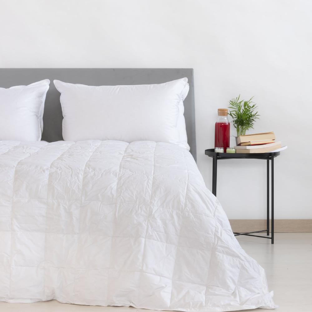 Zenoni & ColombiPiumino Estivo - Primaverile Polar 2* in 100% Piuma d'Oca | Eletto Prodotto dell'Anno 2023