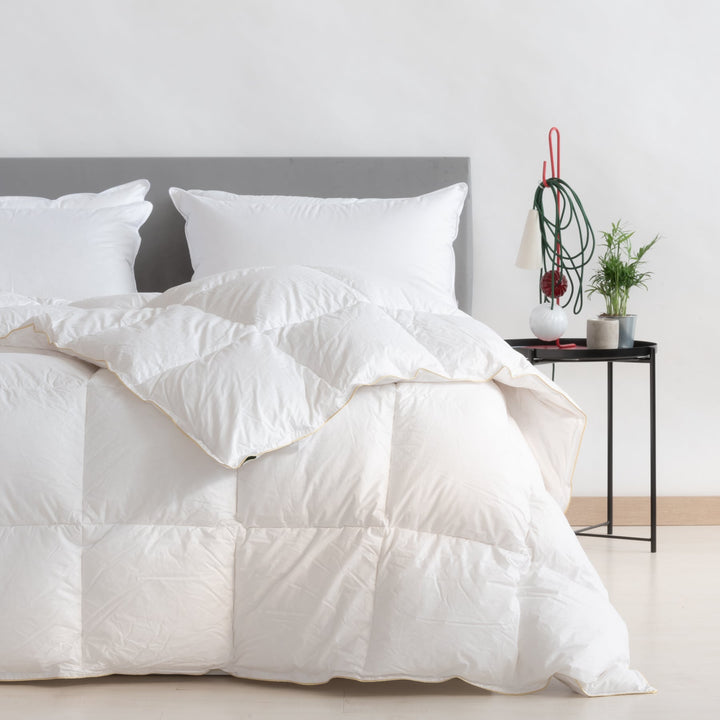 Zenoni & ColombiPiumino Invernale Gran Paradiso 5*+ In 100% Fiocco Di Piumino D'Oca Vergine