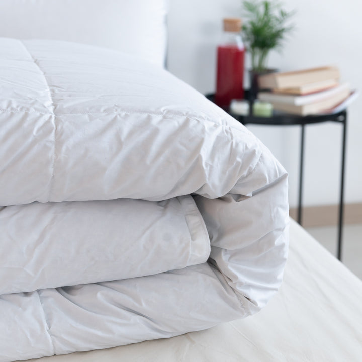 Zenoni & ColombiPiumino Invernale Polar 4* In 100% Piuma D'Oca