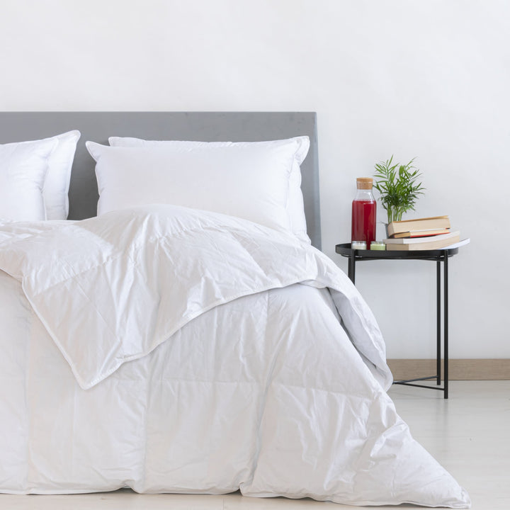 Zenoni & ColombiPiumino Invernale Polar 5* In 100% Piuma D'Oca