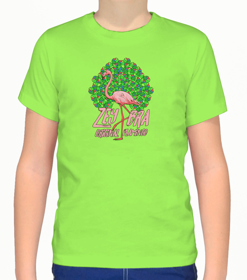 Zeybra T-SHIRT BAMBINO