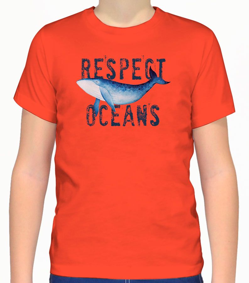 Zeybra T-SHIRT BAMBINO MANGO