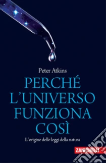 Unilibro Perché l'universo funziona così. L'origine delle leggi della natura - 9788808720351