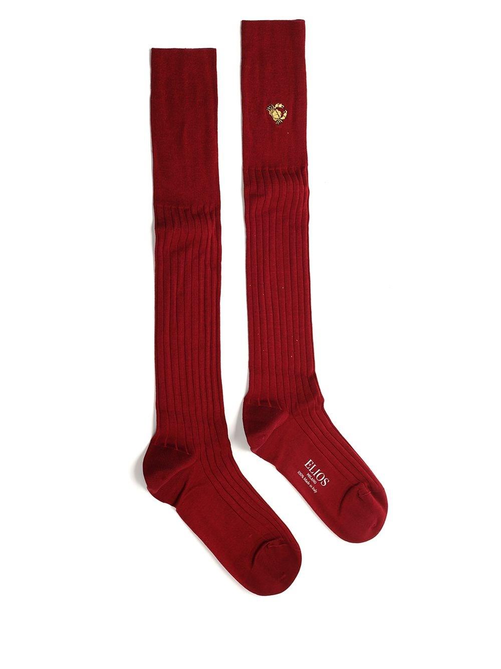 Al Duca D'Aosta Elios Calzino Cancro