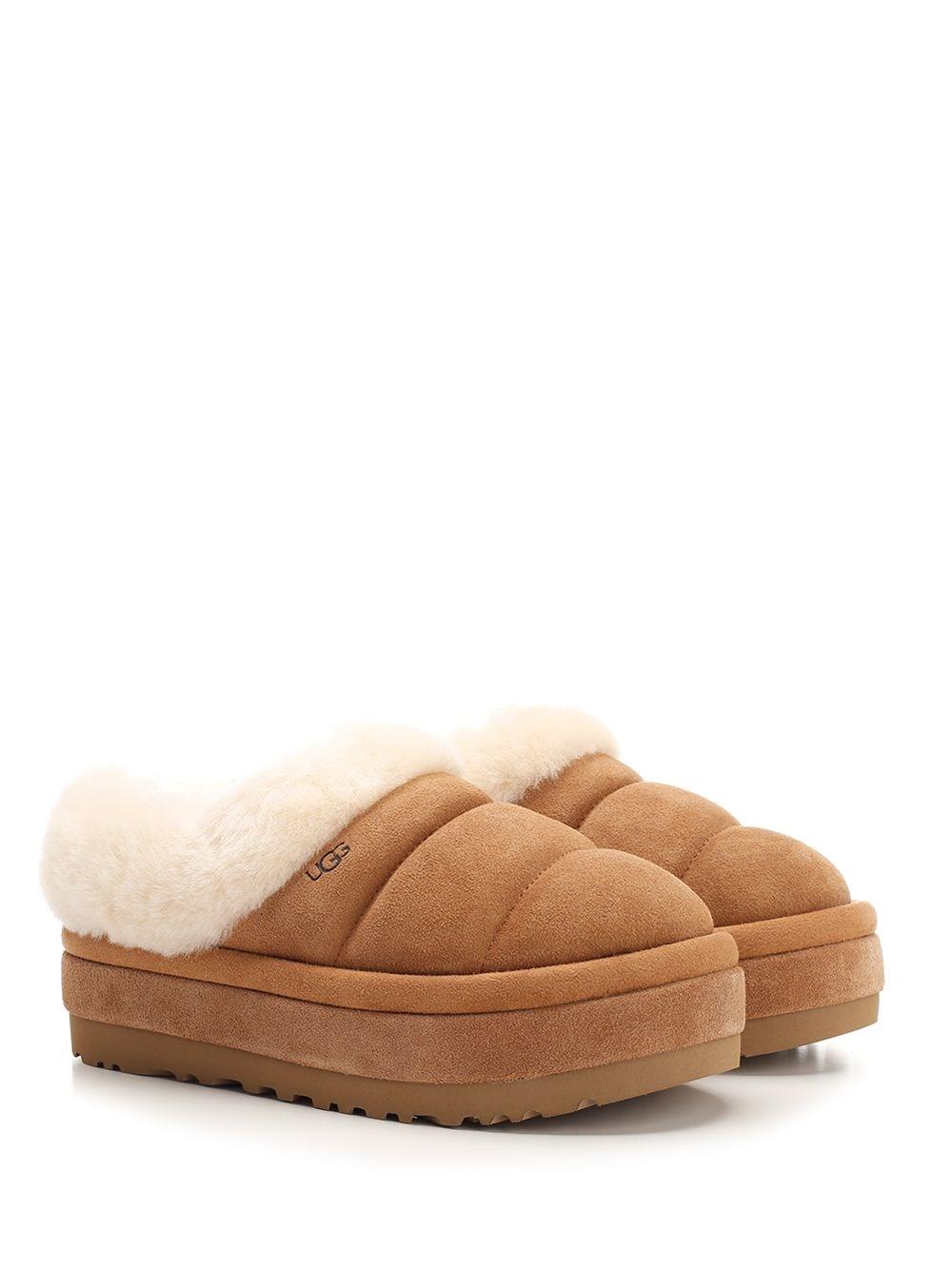 Al Duca D'Aosta Ugg Slipper "Tazzlita"