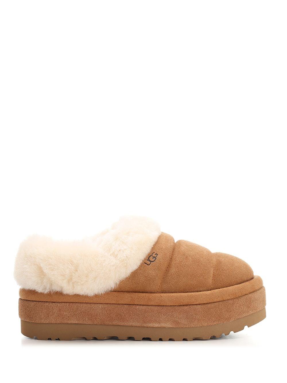 Al Duca D'Aosta Ugg Slipper "Tazzlita"