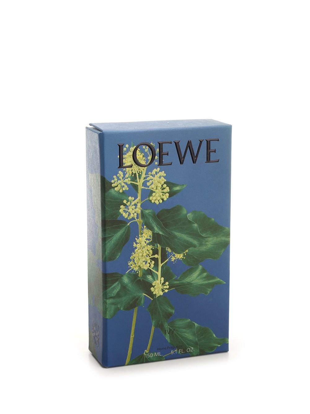 Al Duca D'Aosta Loewe Home Scents Fragranza Ambienti Edera